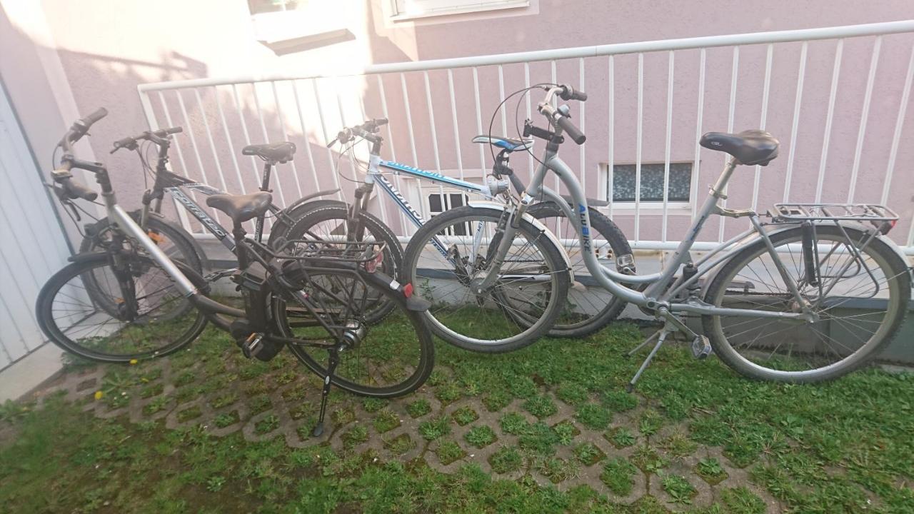 Ferienwohnung Lang Nittenau Exteriör bild